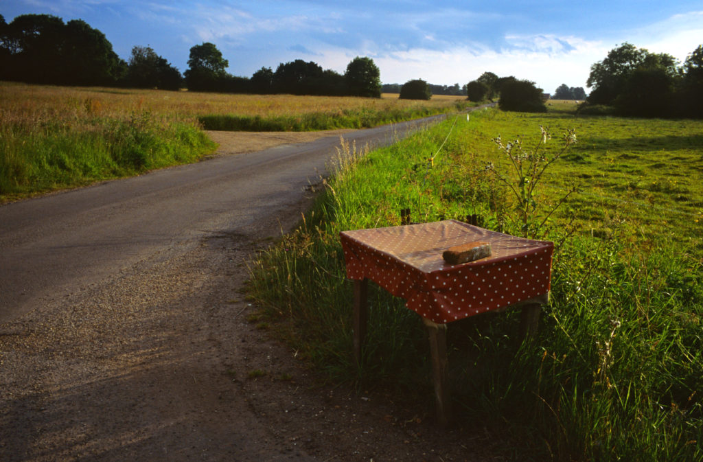 Justin Partyka Walnut tree farm table and road