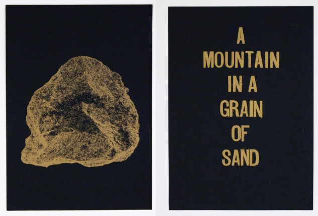 Kaitlin Ferguson a mountain in a grain of sand