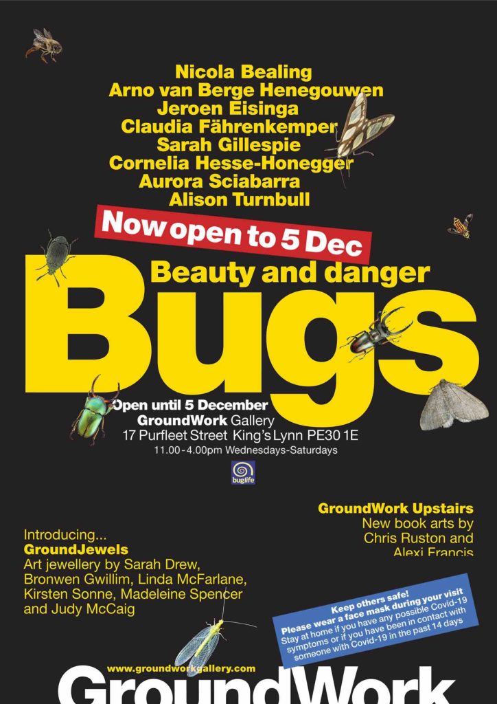 Bugs revised flier