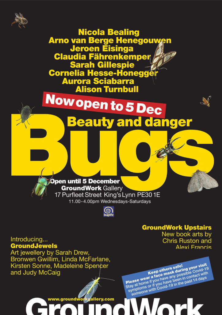 Bugs flier