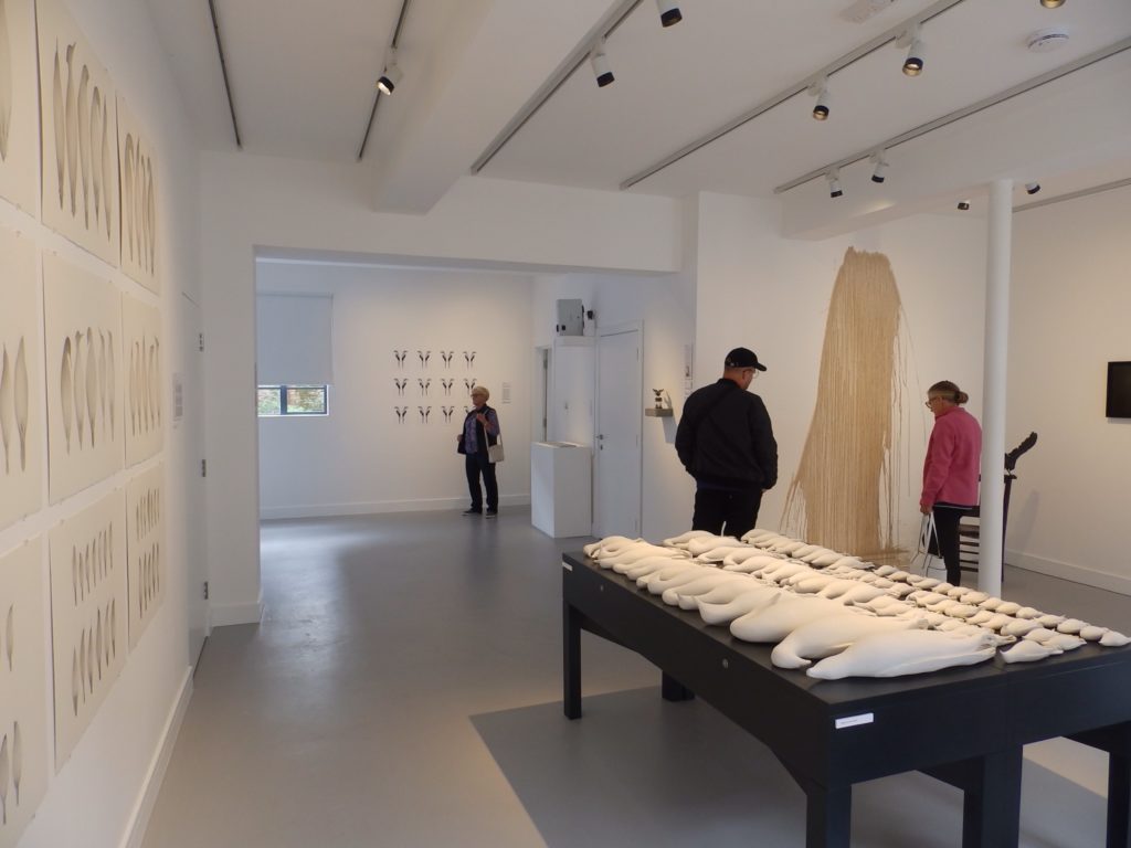 Gallery interior: Visitors looking at Bird after Bird, 2017