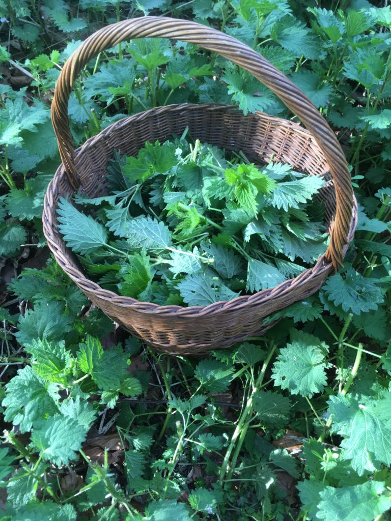 Nettle basket