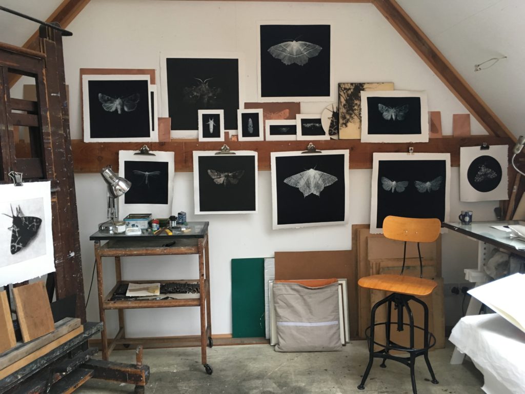 Sarah Gillespie's studio