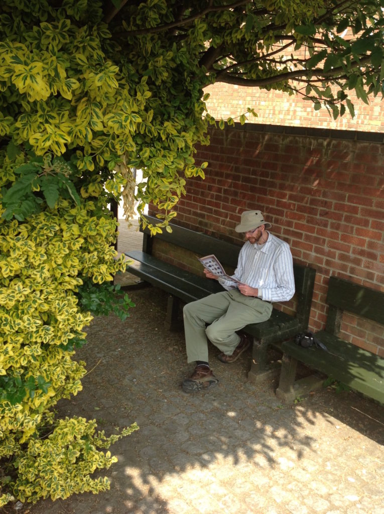 Shelter and shade, sitting under trees