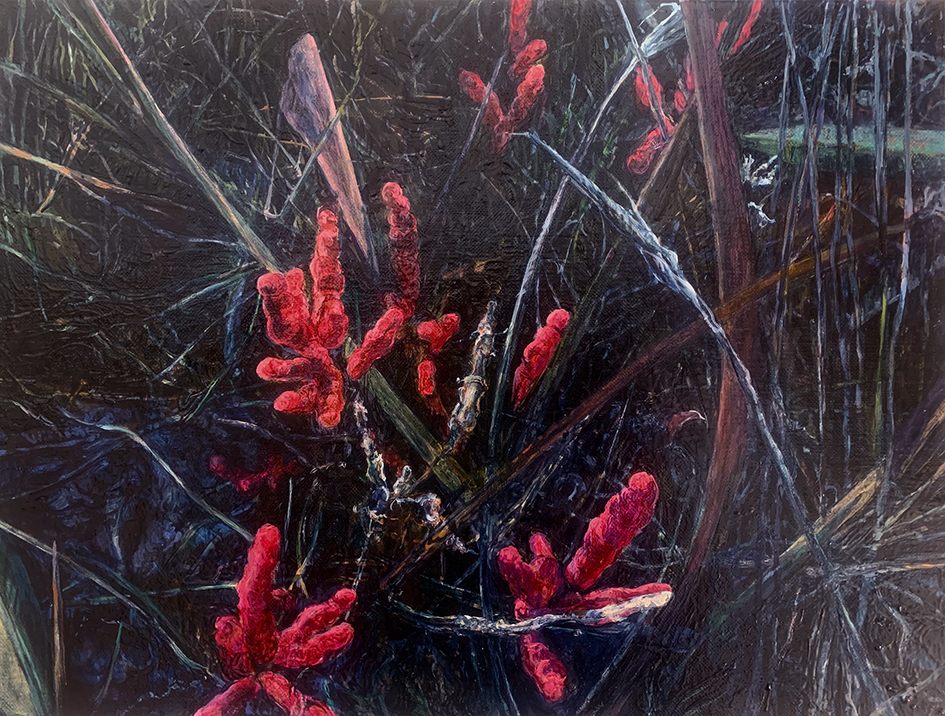 Judith Tucker Dark Marsh Winter Samphire