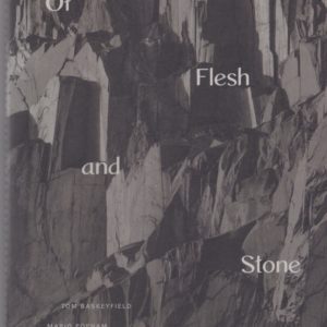 Flesh and Stone book cover