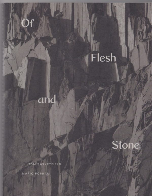 Flesh and Stone book cover