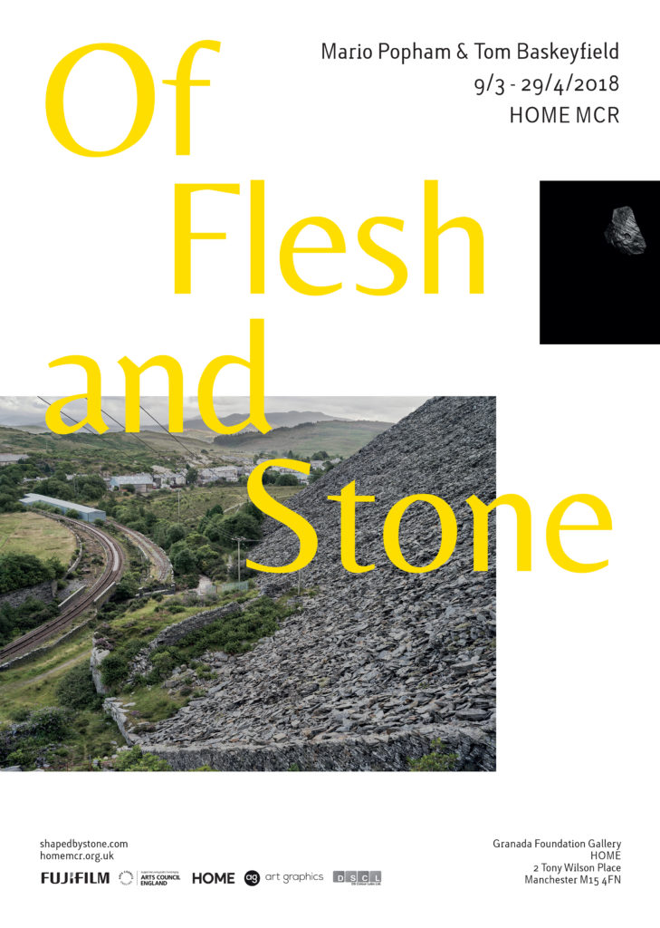 Tom Baskeyfirld and Mario Popham Flesh and Stone poster