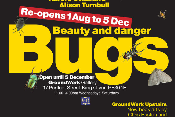 Bugs reopening poster