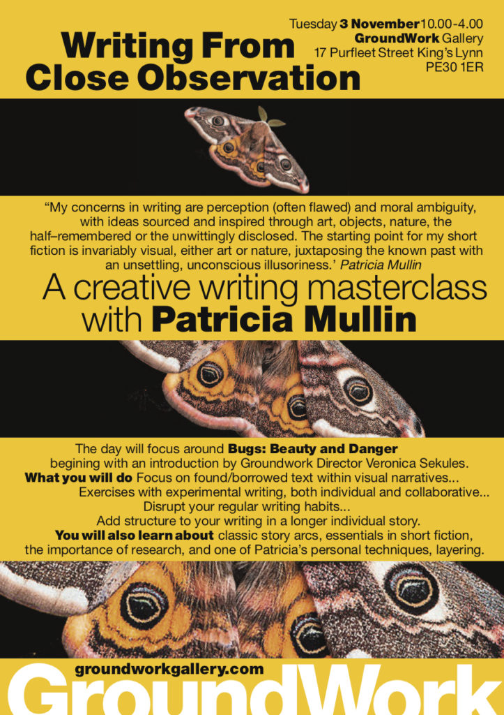 Writing from close observation patricia mullin