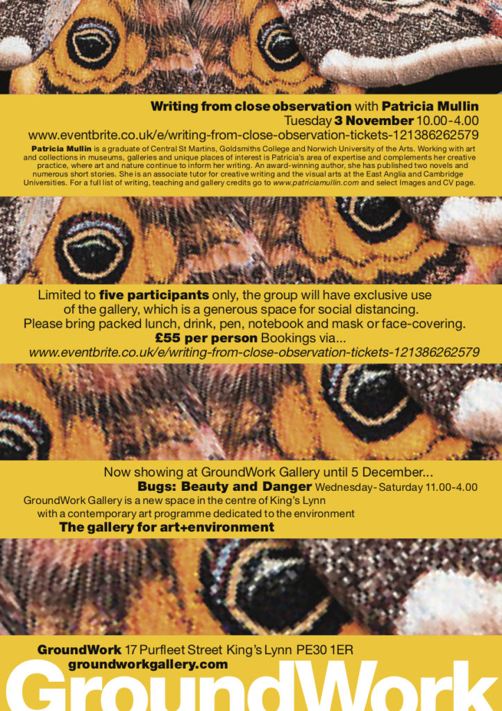 Patricia Mullin writing from close observationworkshop flier
