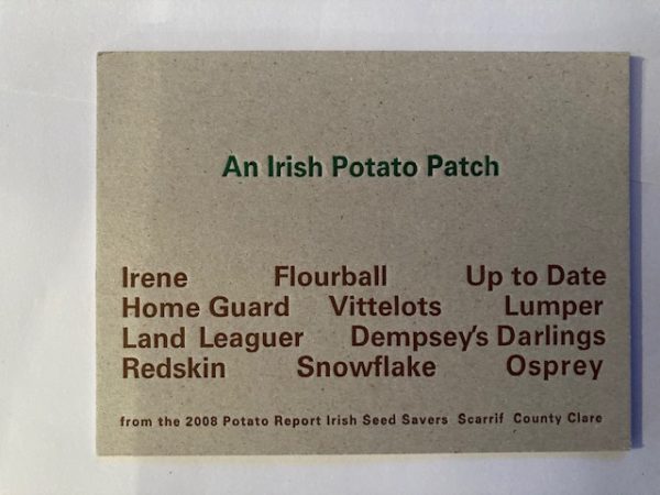 An Irish Potato Patch