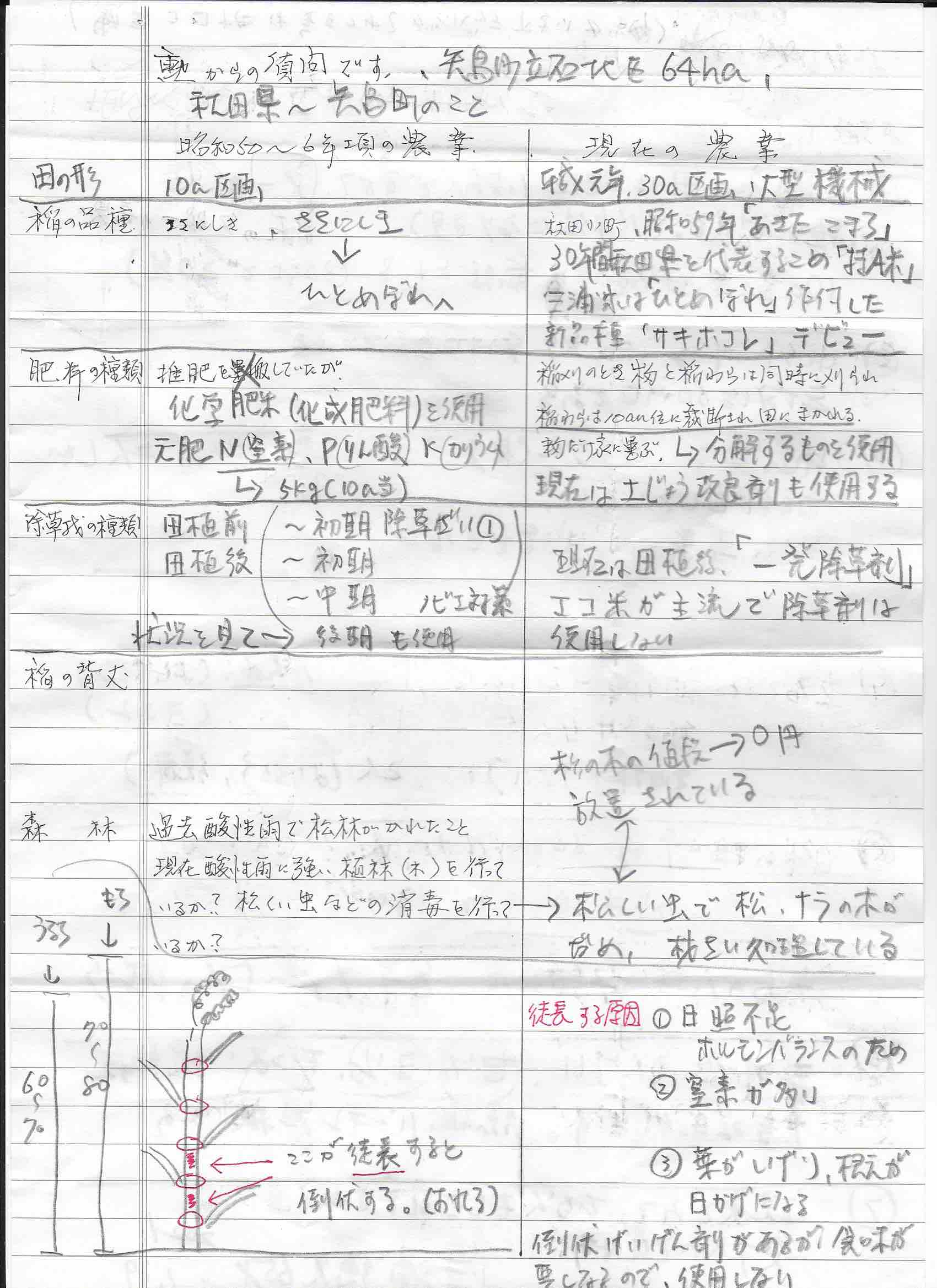 Diagram of cropping on Rice farm in Akita