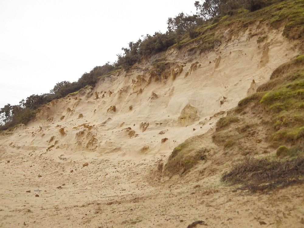 Leziate quarry