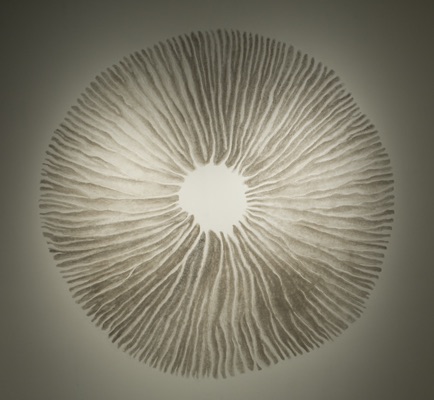 Nature's mysterious networks, Chris Drury Spore Print