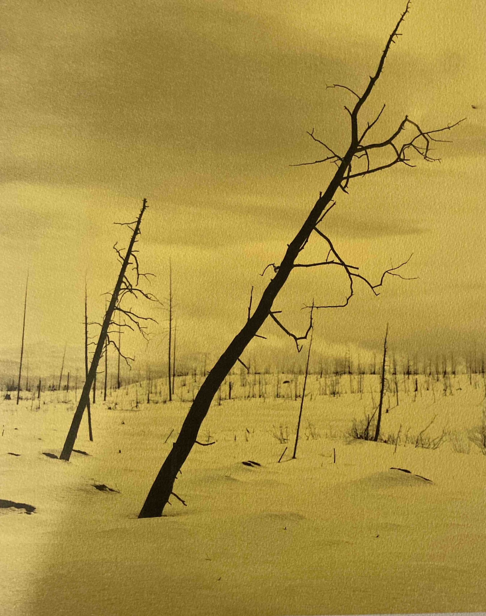 Extraction: Art on the Edge of the Abyss - GroundWork