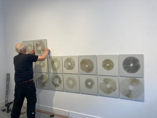 Chris Drury installing spore grid