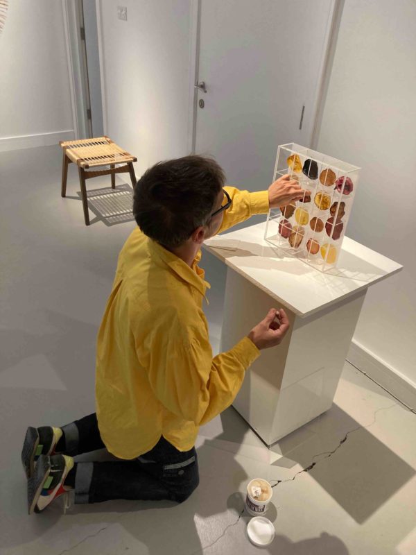 Myka Baum installing Cabinet of SCOBY