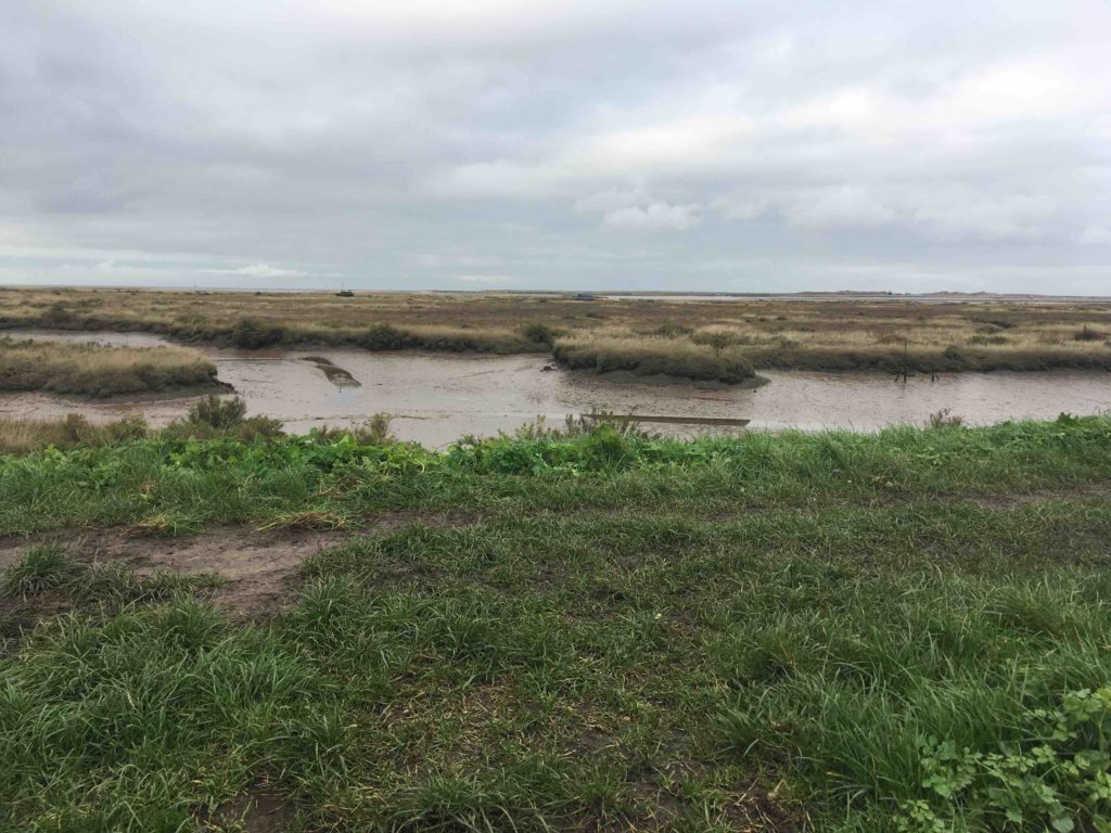 Powis Seascapes of Extraction Coastal wetland