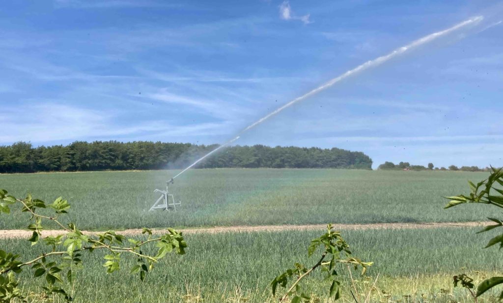 Powis Seascapes of Extraction sprayer