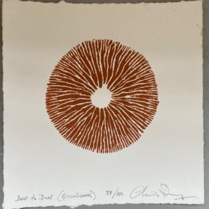 Chris Drury Dust to Dust print