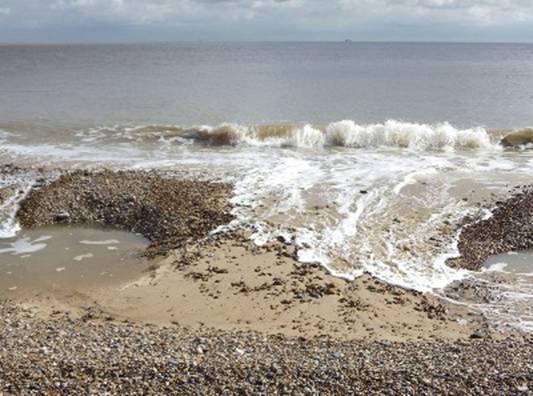 Tim Holt Wilson the ebb and flow of tide