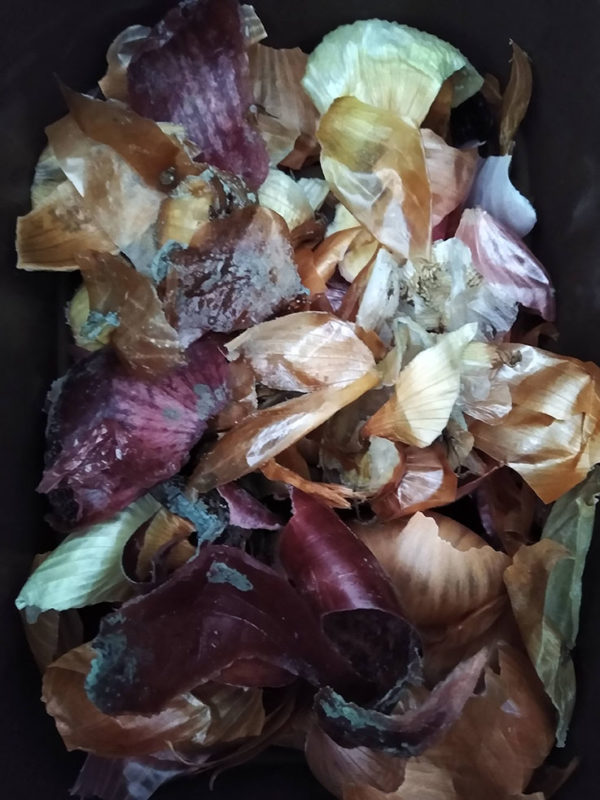 Liz Elton Liz Elton ‘Compost Bin Print 17, Onion Skins with Mould’