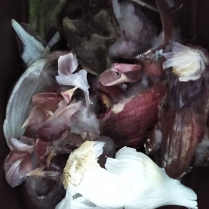 ‘Compost Bin Print 3, Purple Skins and Garlic’