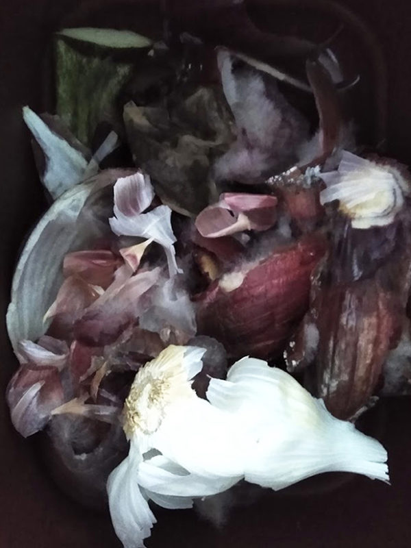 ‘Compost Bin Print 3, Purple Skins and Garlic’