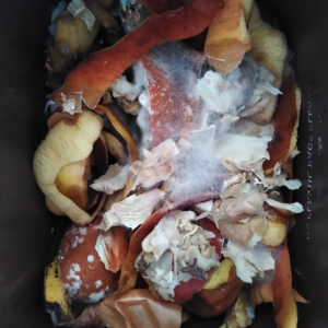 Liz Elton ‘Compost Bin Print 36, Wish’