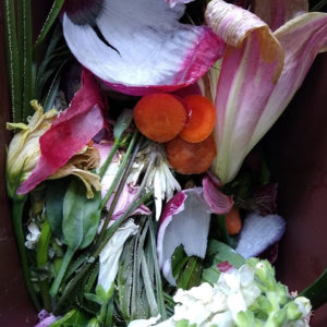 Liz Elton ‘Compost Bin Print 6, Lilies and Carrots’