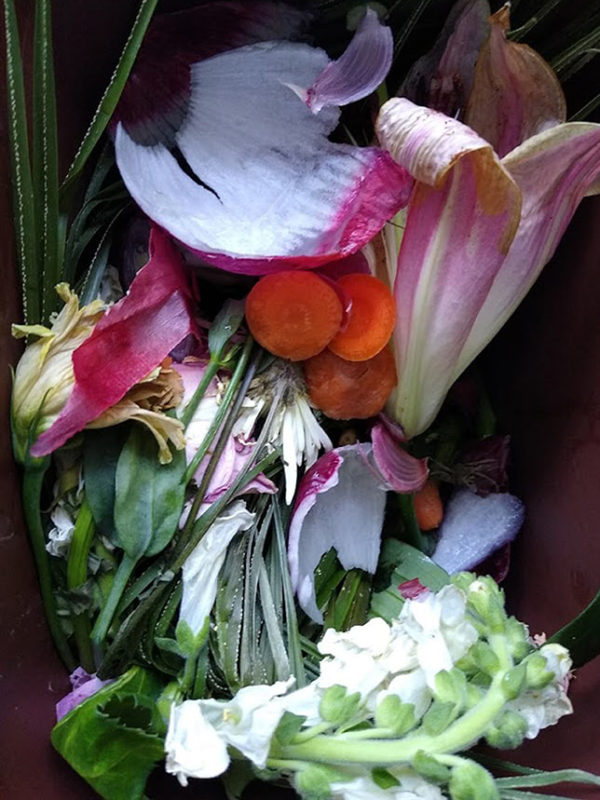 Liz Elton ‘Compost Bin Print 6, Lilies and Carrots’