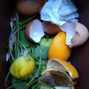 Liz Elton ‘Compost Bin Print 9, Eggs and Citrus’