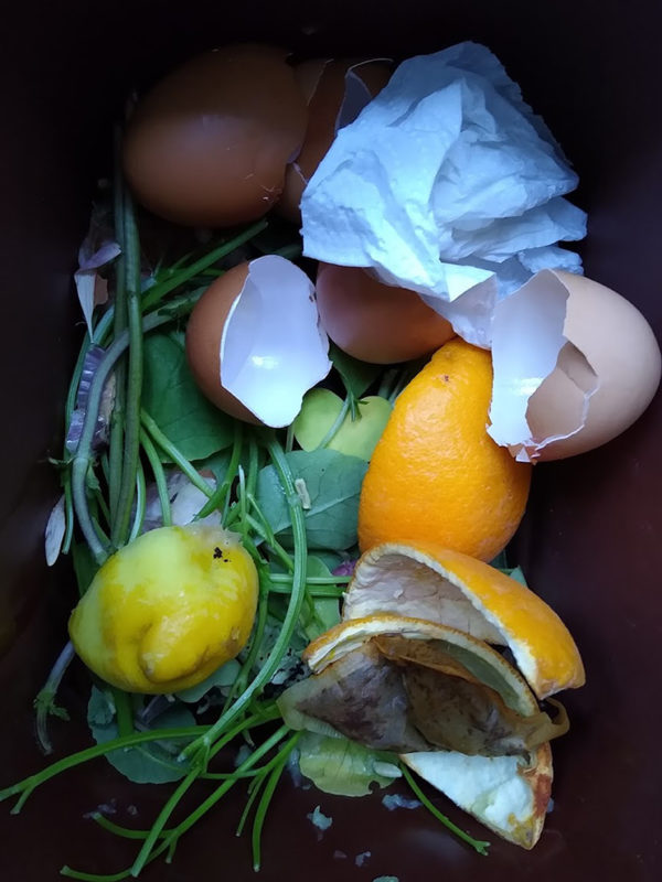 Liz Elton ‘Compost Bin Print 9, Eggs and Citrus’