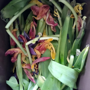 Liz Elton ‘Compost Bin Print 13, Tulips’