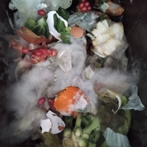 Liz Elton ‘Compost Bin Print 29, A Blanket of Mould’