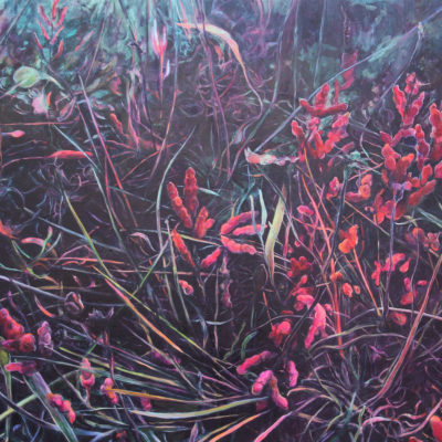 Judith Tucker dark marsh Plant power