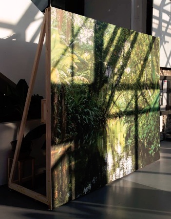 Julie Toqueville installation plant power