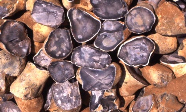 John Lord flintknapping Flints