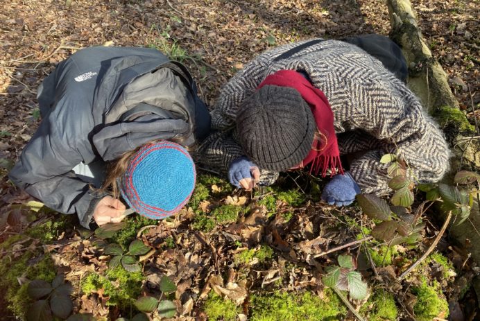 Mossibility examining mosses