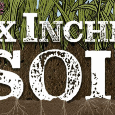 Six Incheds of soil