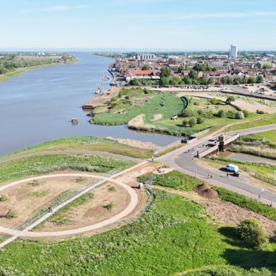 Beuys' acorns site at Hardings Pits
