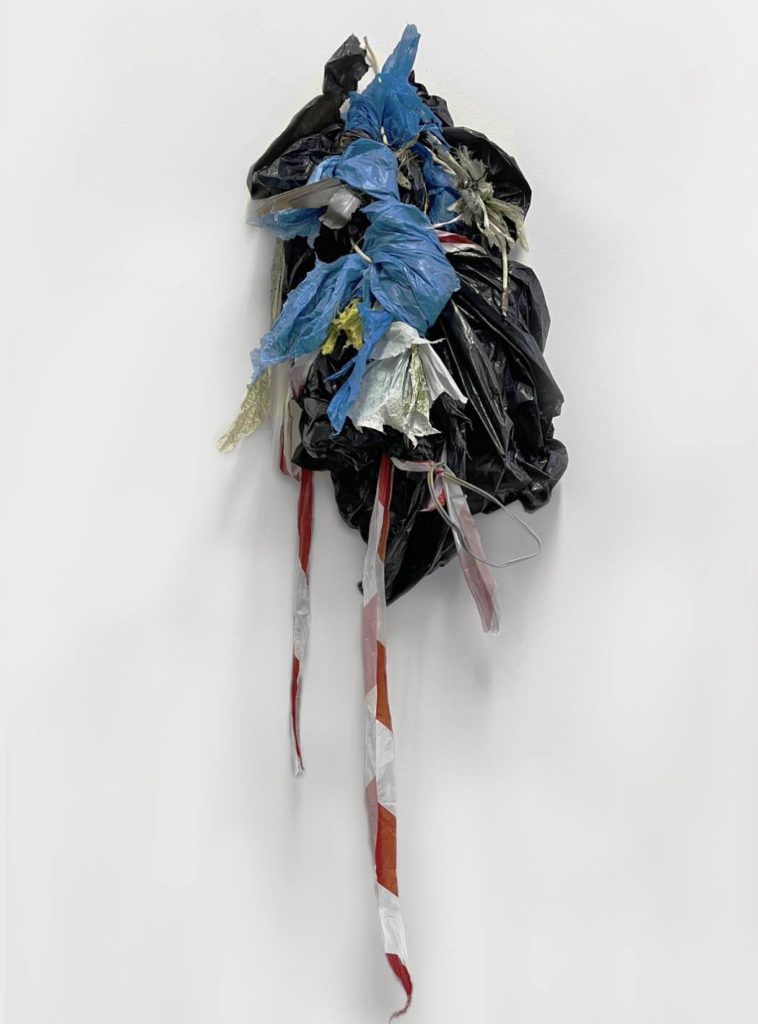 Fluid Earth Sean Savage Ferrari