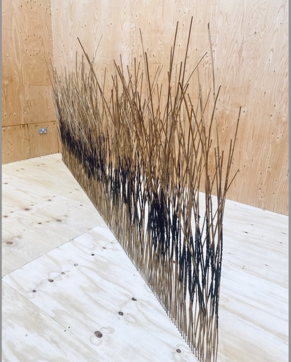 Fluid Earth Susan Brinkhurst