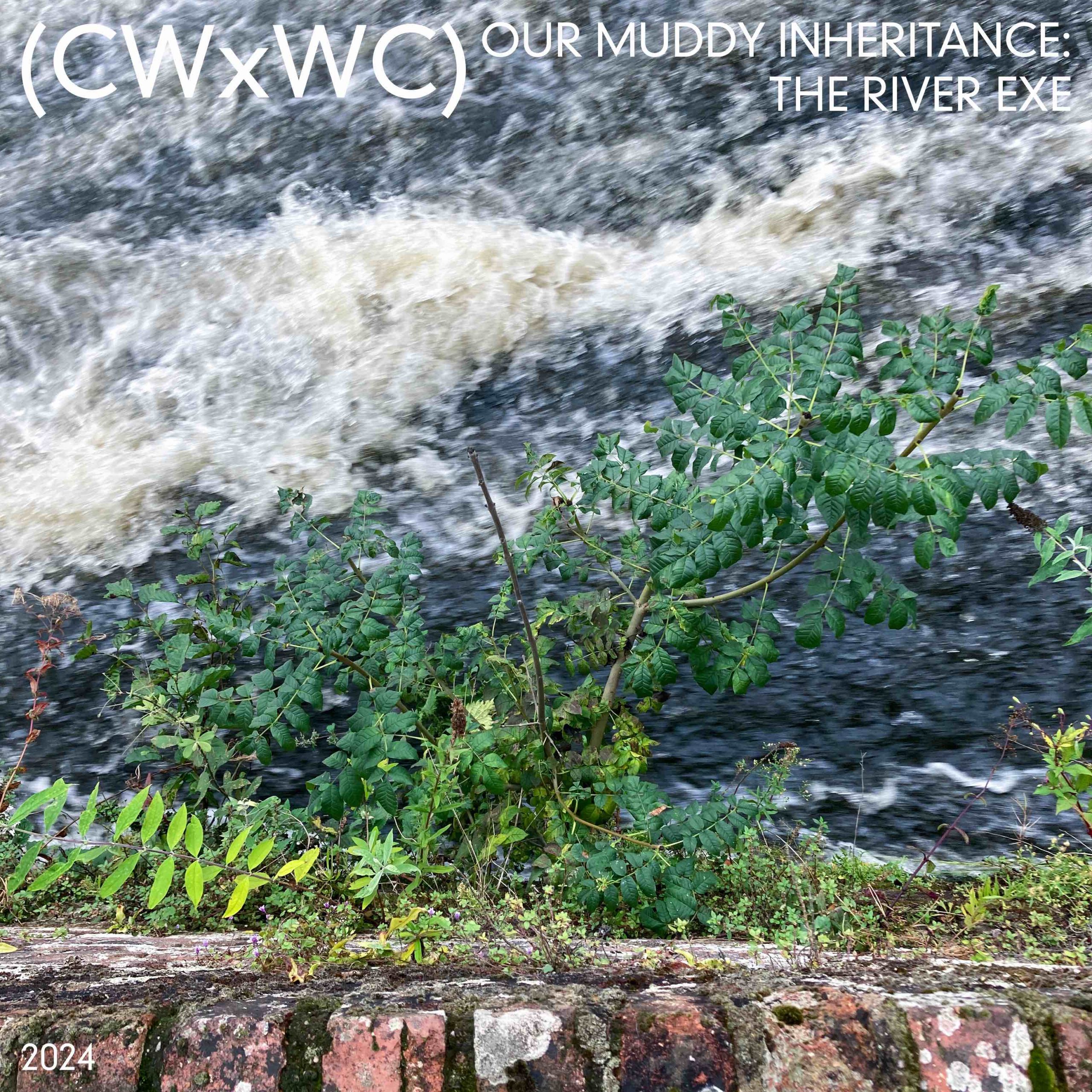 Fluid Earth CWxWC poster