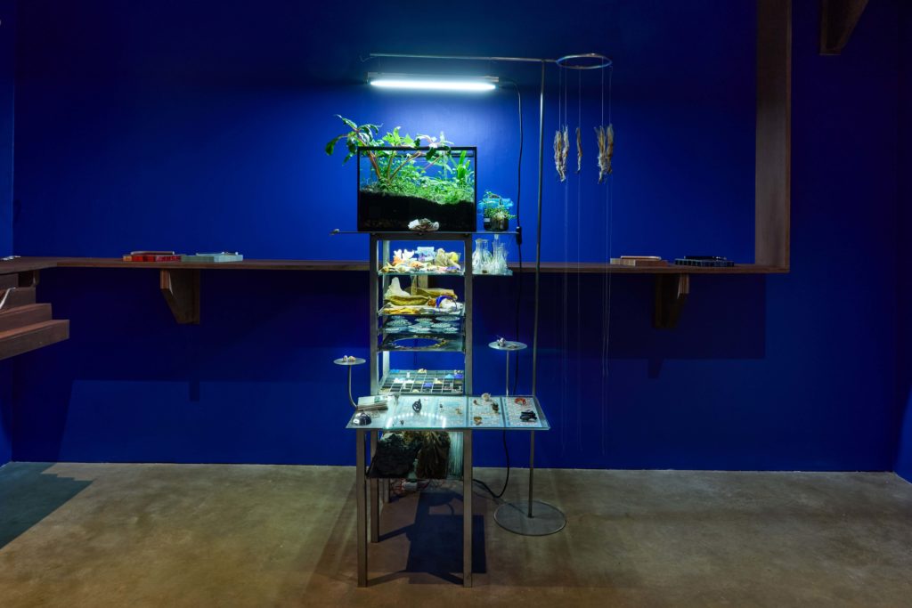 Juliette Ezavin and Ana Milenkovic installation