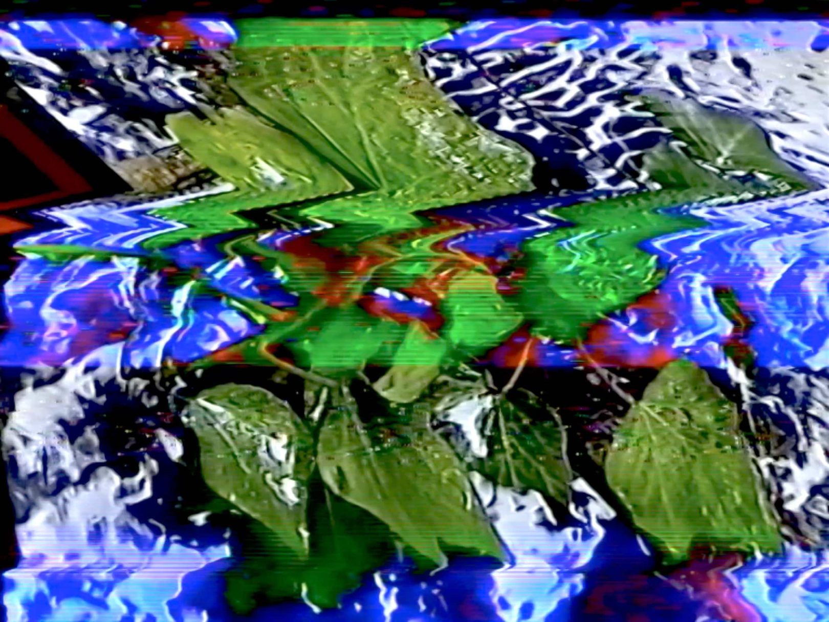 Matt Green Glitch ivy