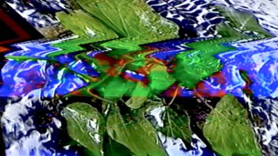 Matt Green Glitch ivy