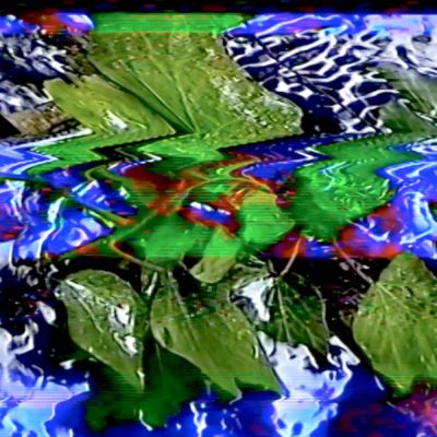 Matt Green Glitch ivy