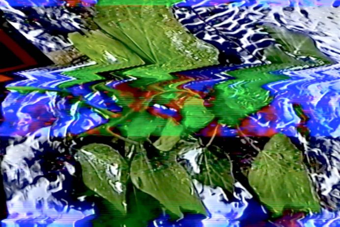 Matt Green Glitch ivy